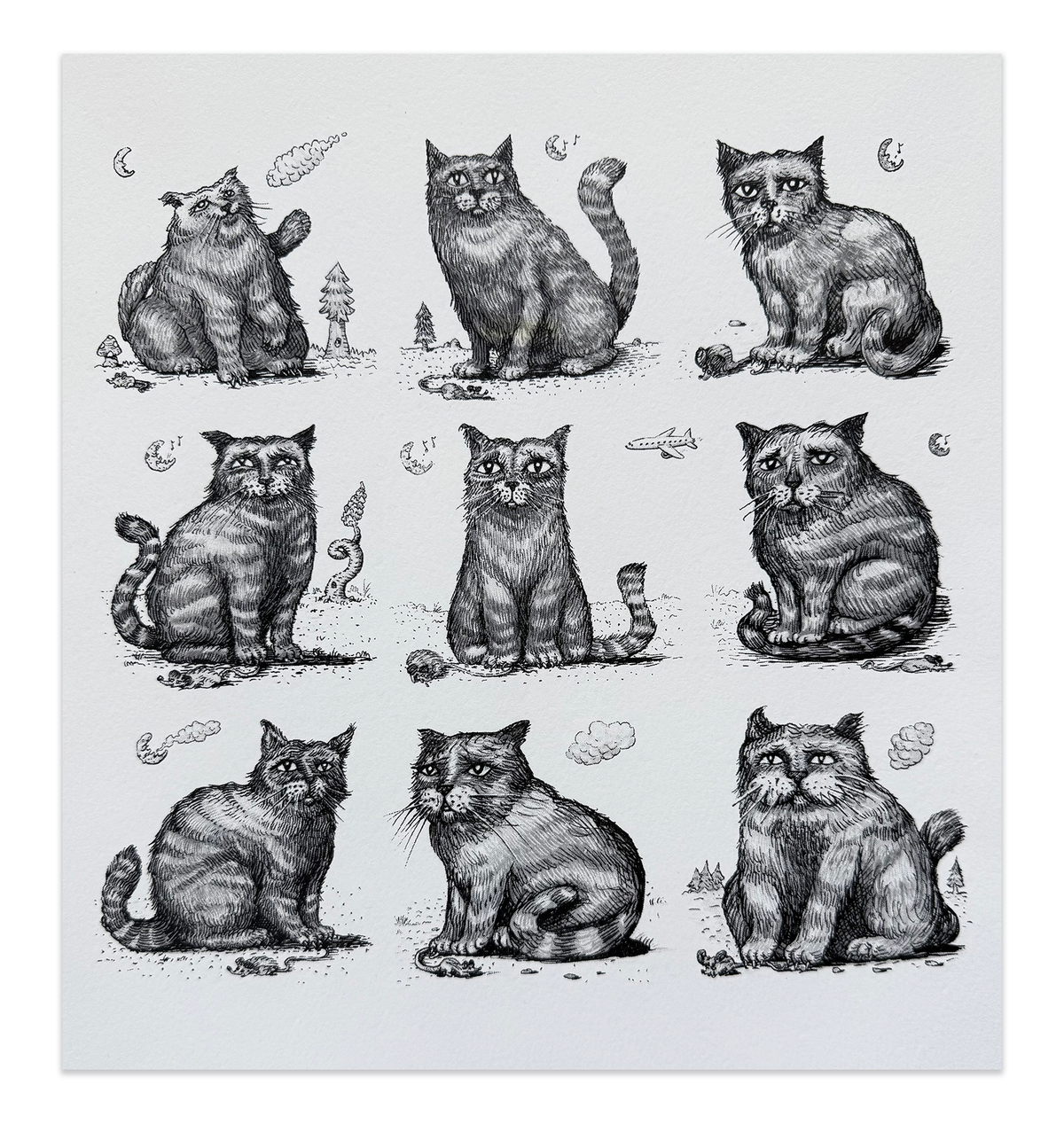 9 Cats - Variant