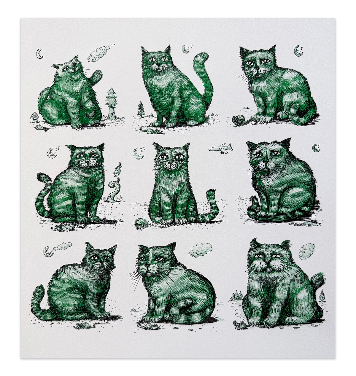9 Cats