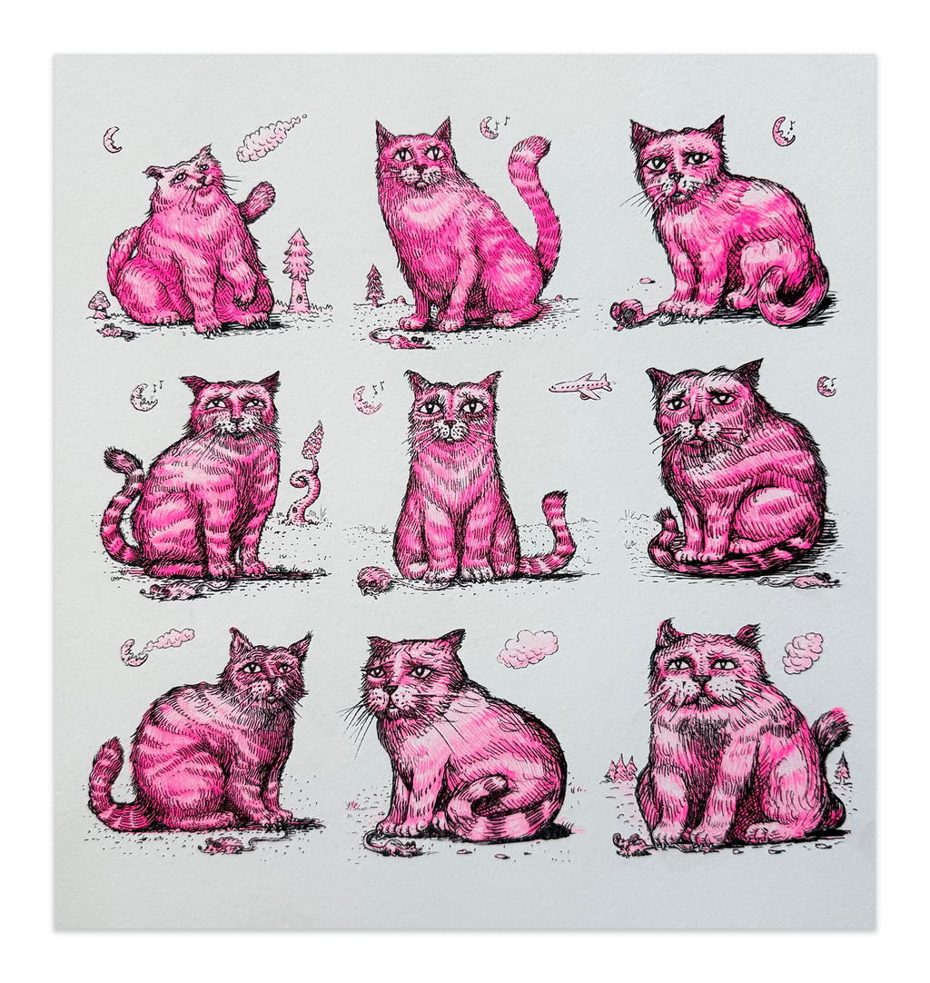 9 Cats