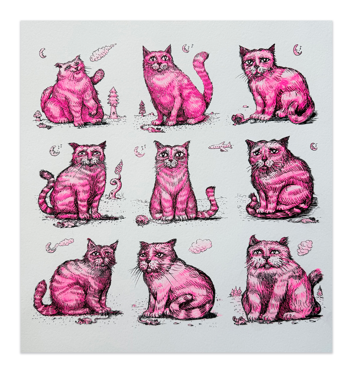 9 Cats